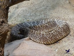 Haus des Meeres 4.02.2026